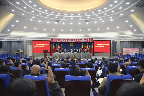 九亭镇召开第十九届人民代表大会第十次会议照片.jpg 九亭镇召开第十九届人民代表大会第十次会议照片.jpg